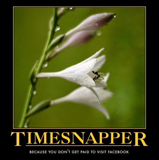 TimeSnapper -- special extended