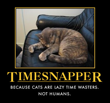 TimeSnapper -- special extended