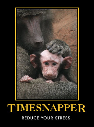 TimeSnapper -- special extended