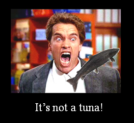 It's not a tuna!